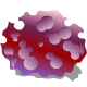 rock (3K)